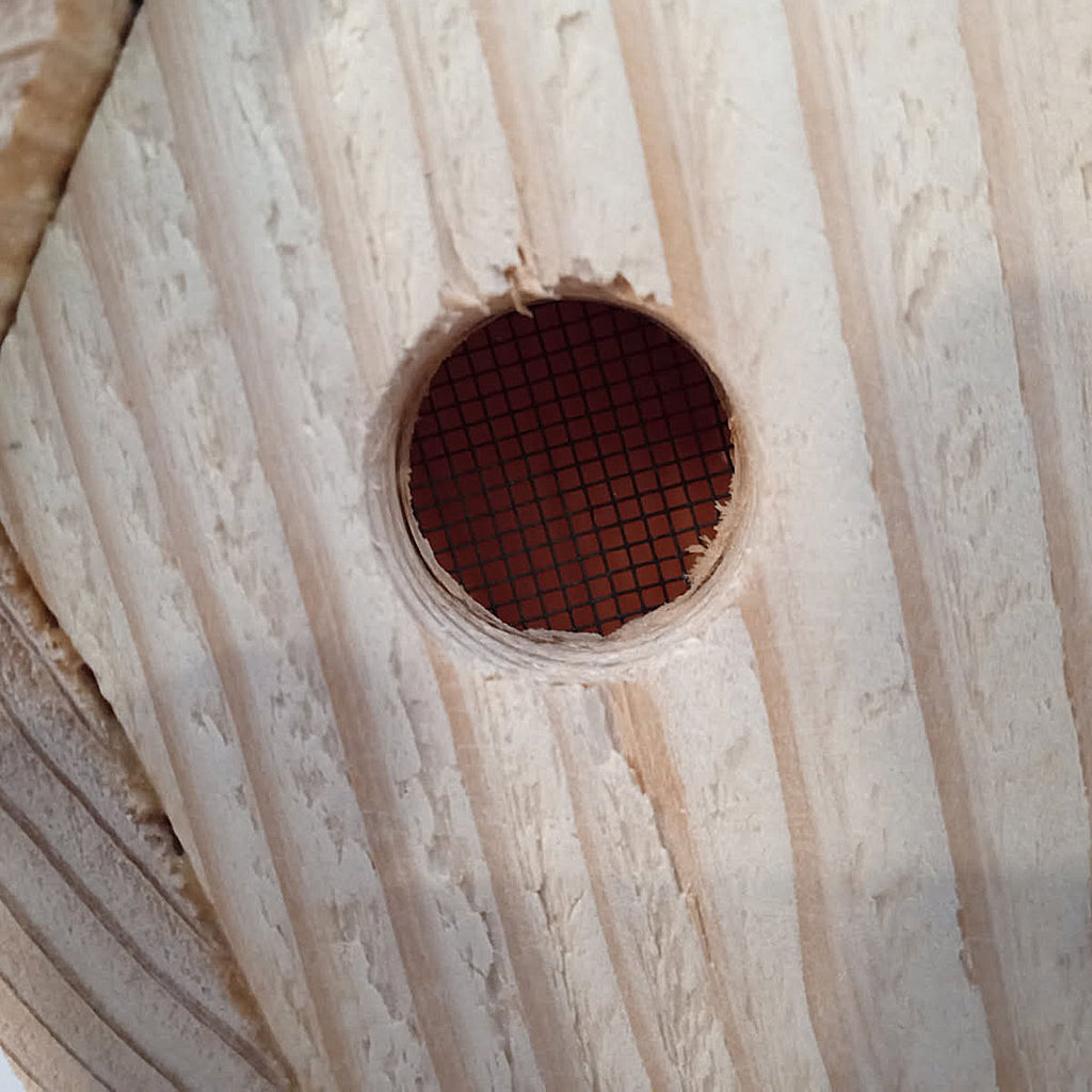 Handcrafted Frankin Outdoor Bird House with Lighting Bolt Design