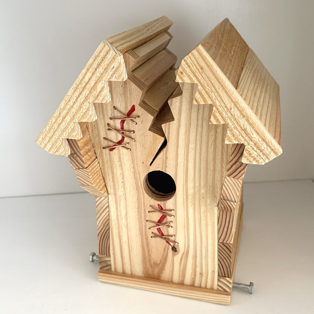 Handcrafted Frankin Outdoor Bird House with Lighting Bolt Design