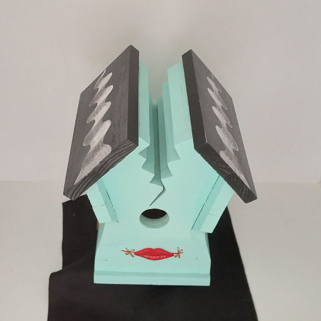 Handcrafted Frankin Outdoor Bird House with Lighting Bolt Design