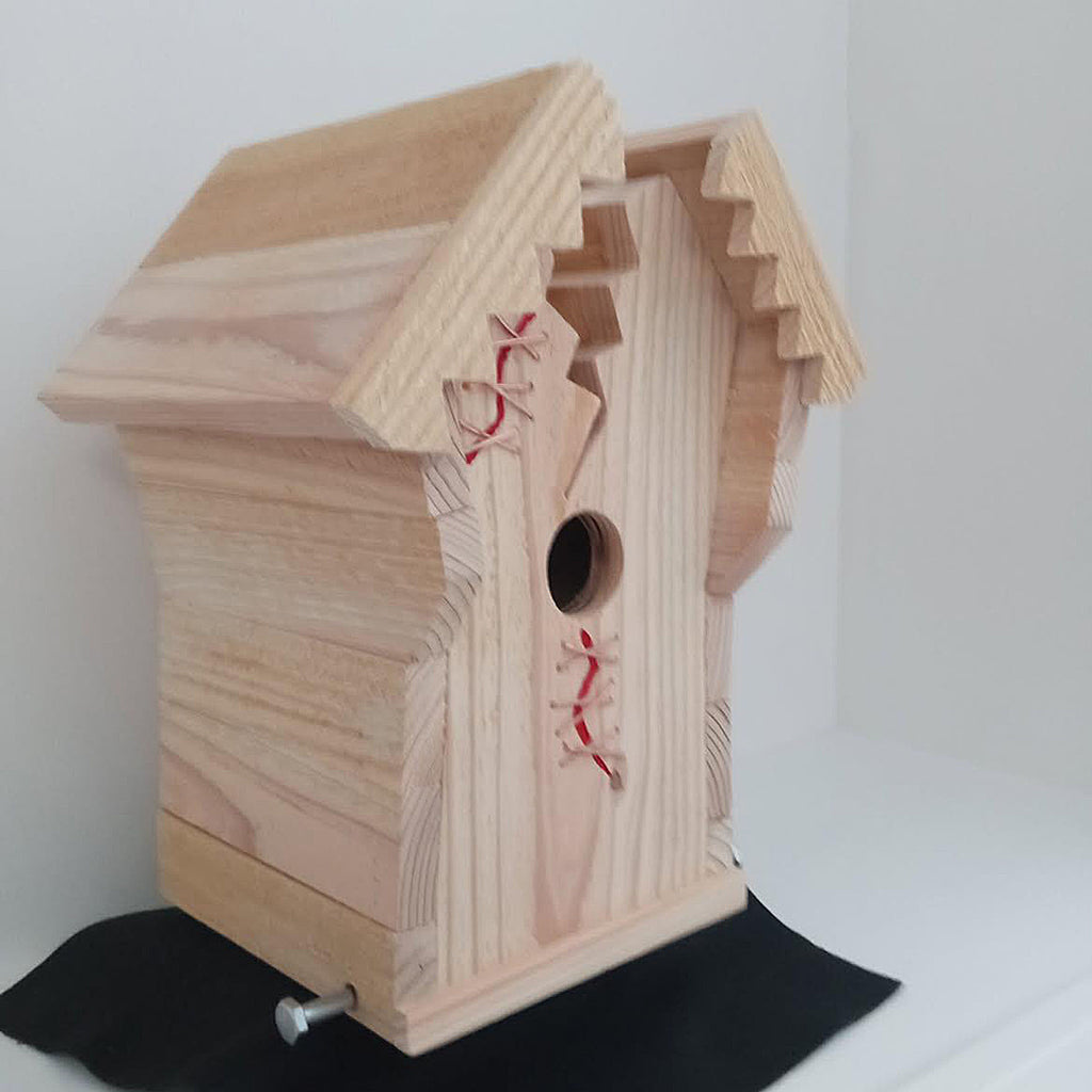 Handcrafted Frankin Outdoor Bird House with Lighting Bolt Design