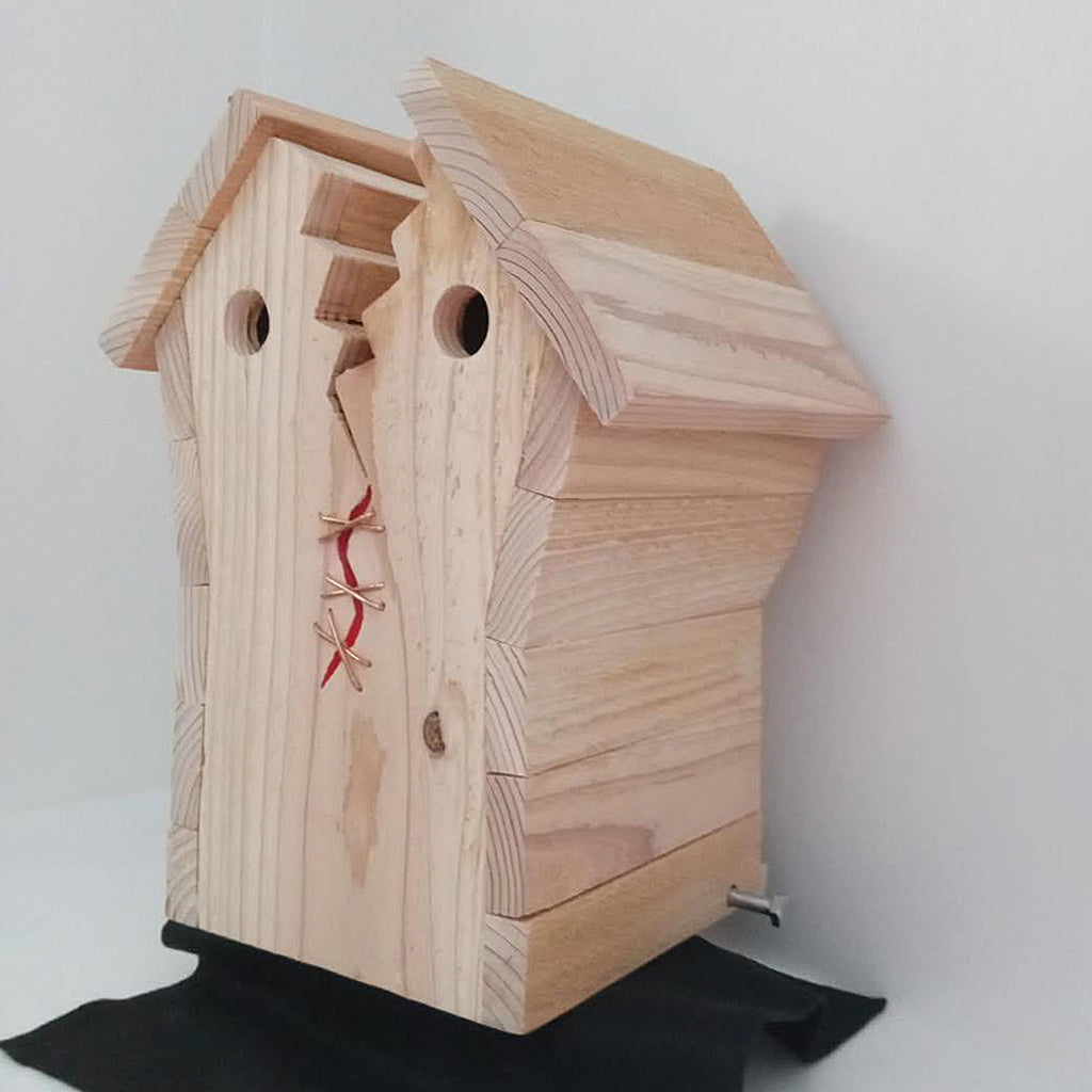 Handcrafted Frankin Outdoor Bird House with Lighting Bolt Design