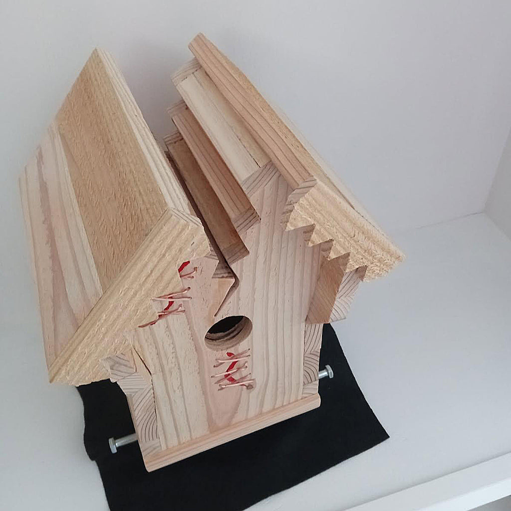 Handcrafted Frankin Outdoor Bird House with Lighting Bolt Design