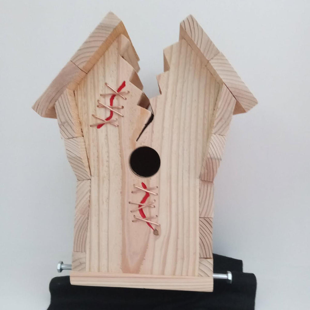 Handcrafted Frankin Outdoor Bird House with Lighting Bolt Design